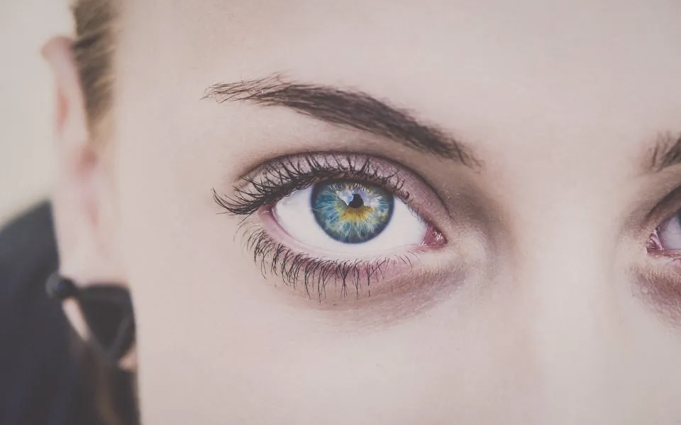 A close view of a finished brow shape